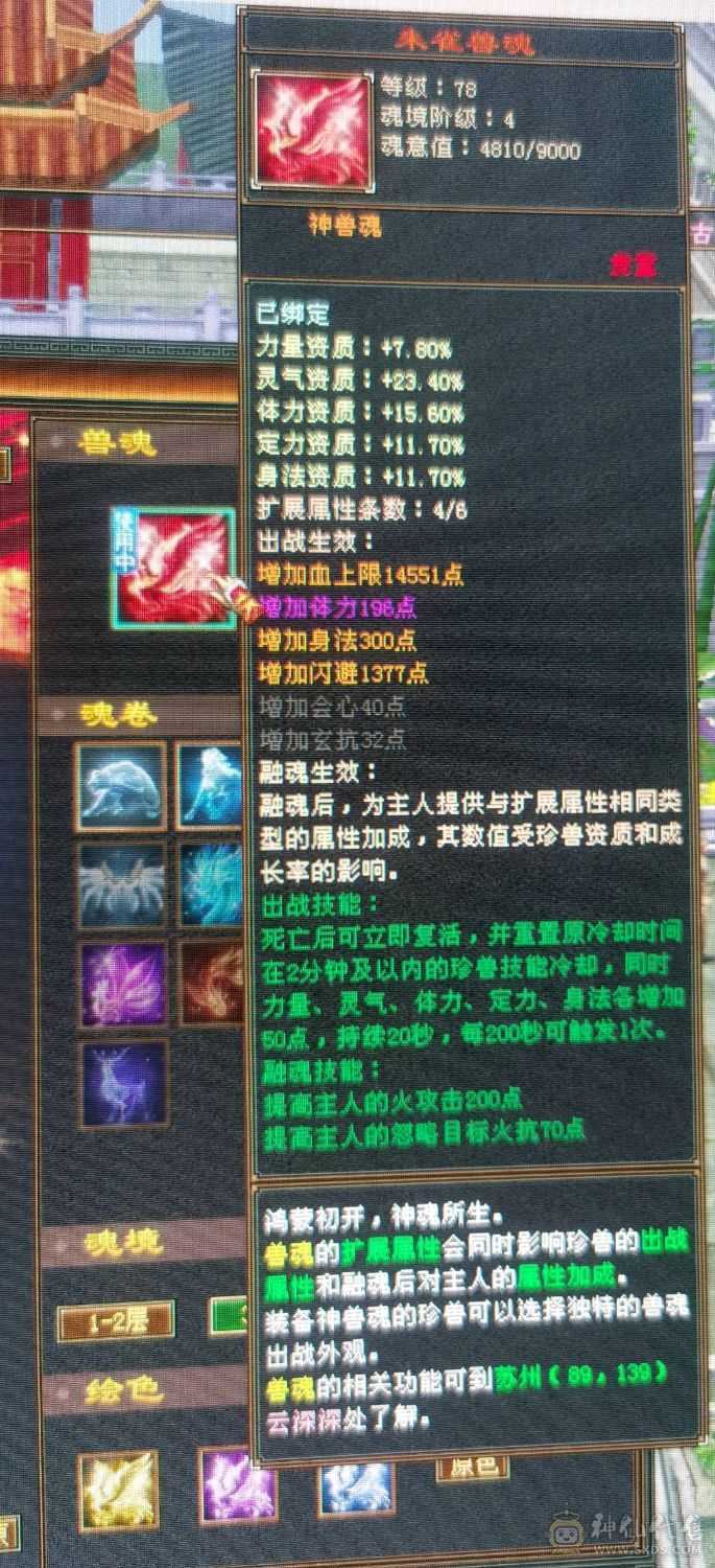 又帅又能打 退坑  