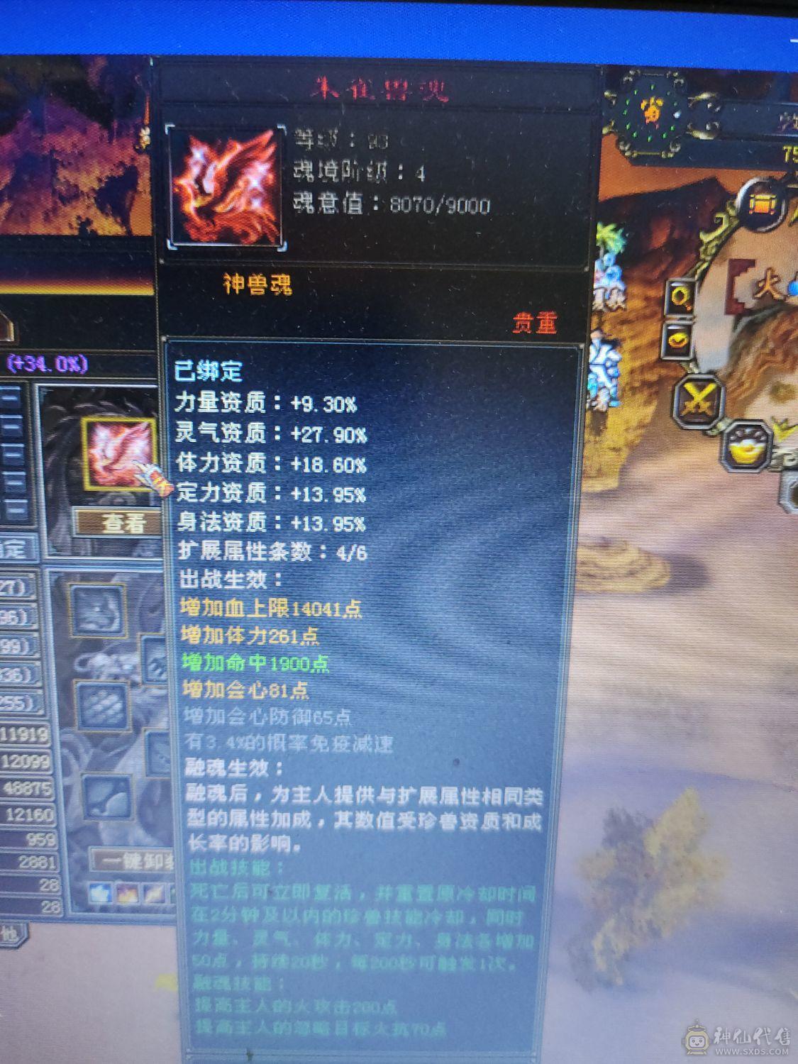 满5带6，几个8雕，5800+属，带2只双十，神兽魂8600点了