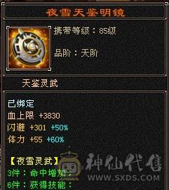 无敌丹三修6身法天山，裸属性6221，图一裸面板