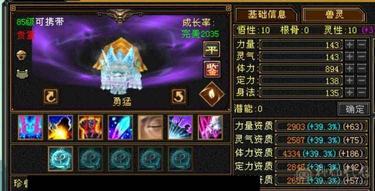 温暖推荐：极限输出气武当
