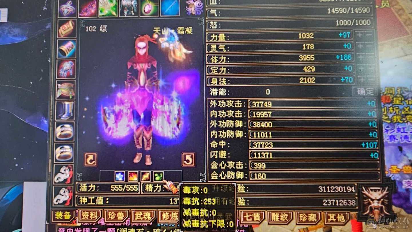 持续打造中！高会心！带三只双十，带前几十的店铺，