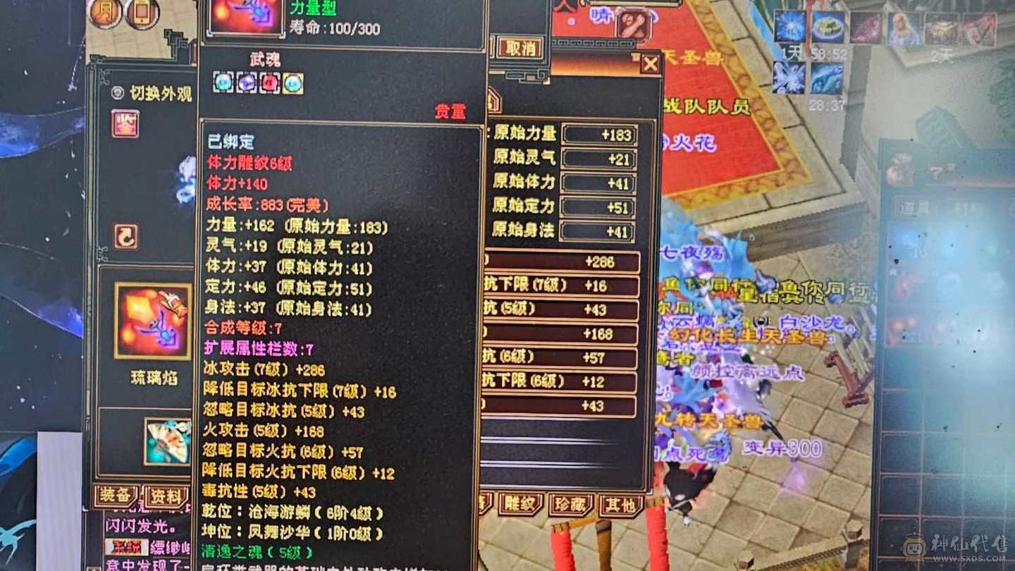 持续打造中！高会心！带三只双十，带前几十的店铺，