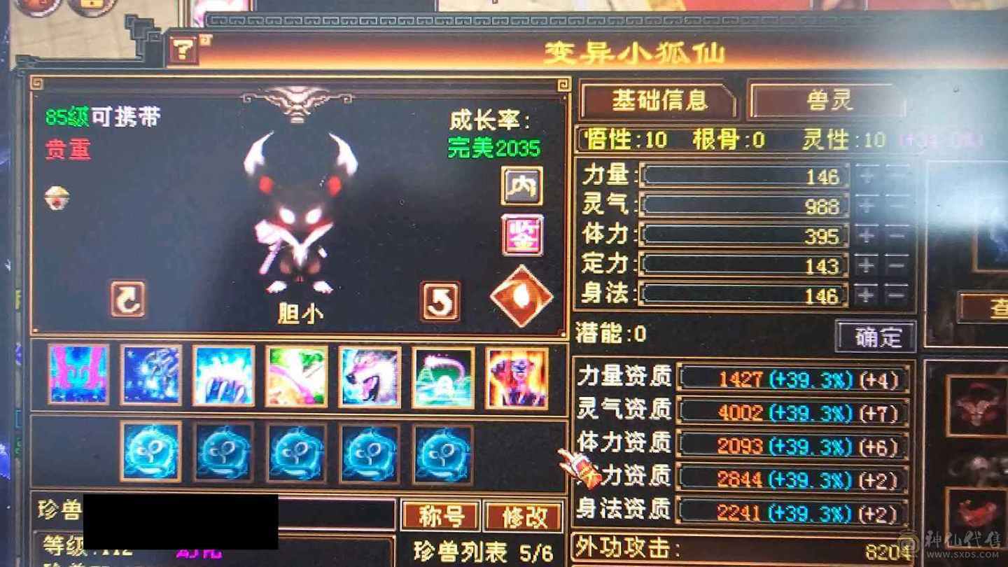 持续打造中！高会心！带三只双十，带前几十的店铺，