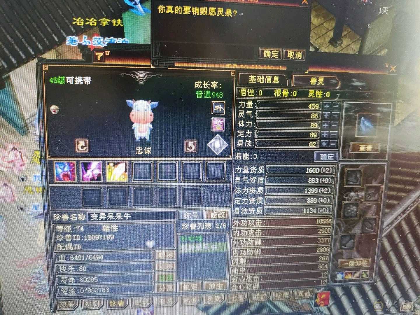跑商 饺子兔子