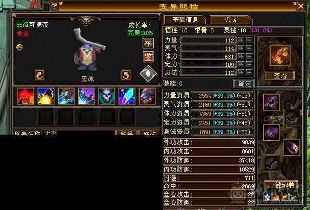 持续更新中
