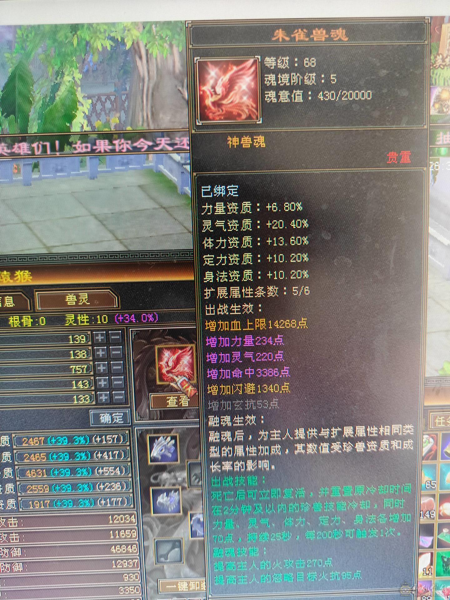 低价处理。六体六属五神逍遥，裸属6687。