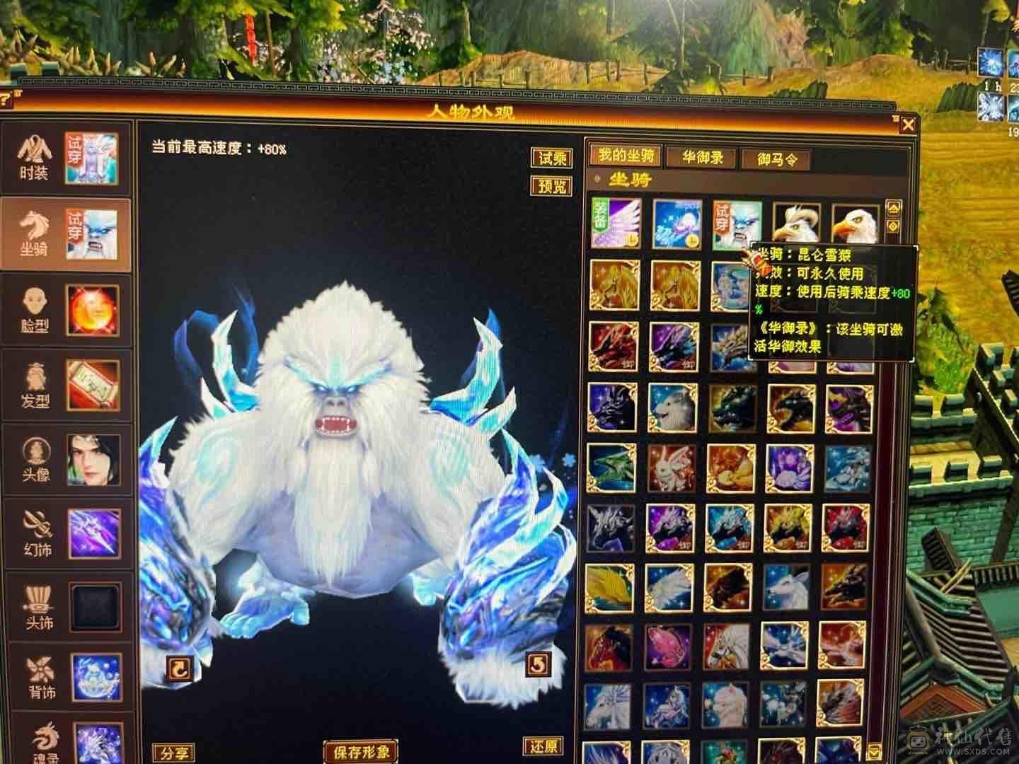 退游