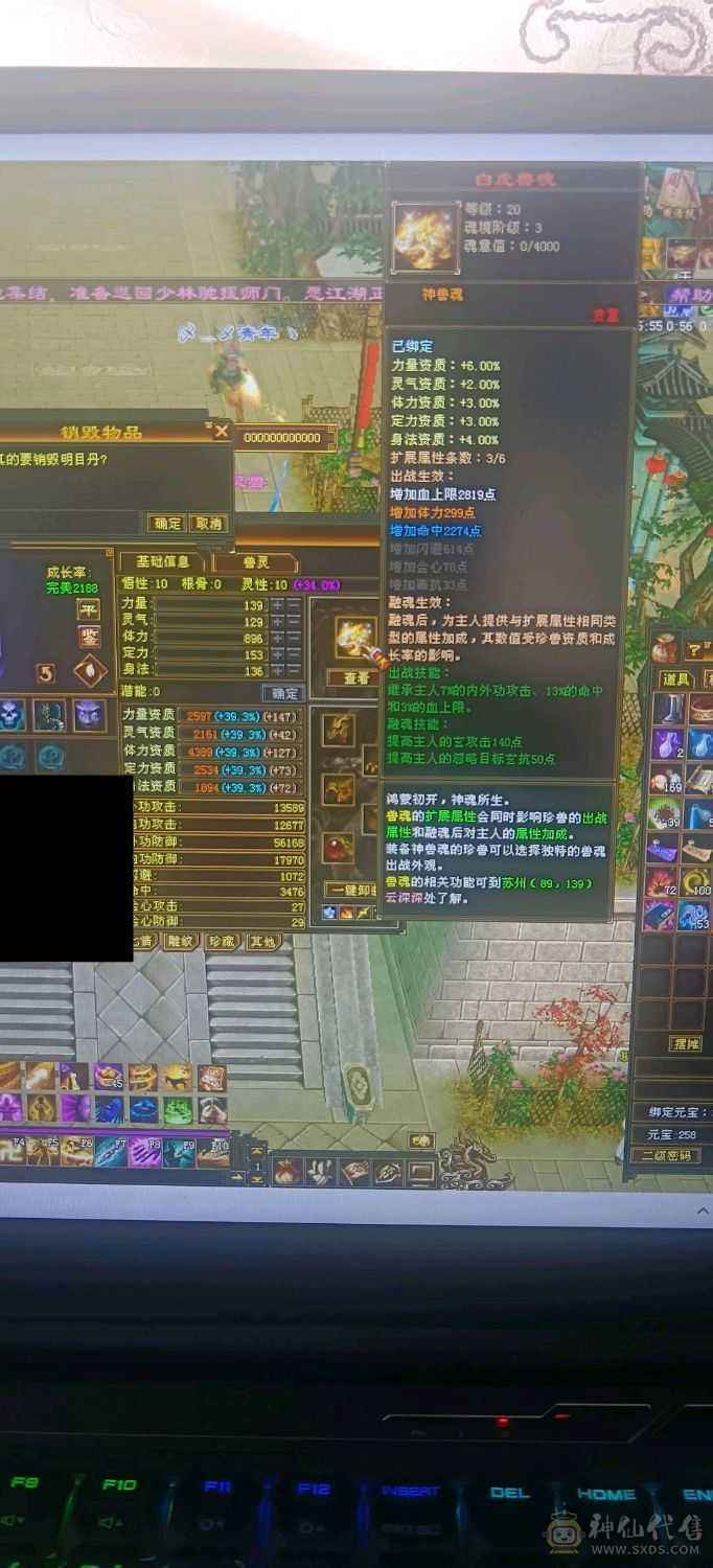 5神少林！6体6属2套抗！