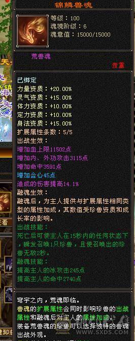 5级极限气冰武当细节精品