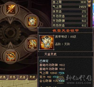 5级极限气冰武当细节精品