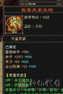 『阿伟•推荐』极品身法 高杂抗少林 无盟会状态 时装好看+幻视+魂录+背饰  新雕文、纹刻全更新、盟会双十级 所见即所得 