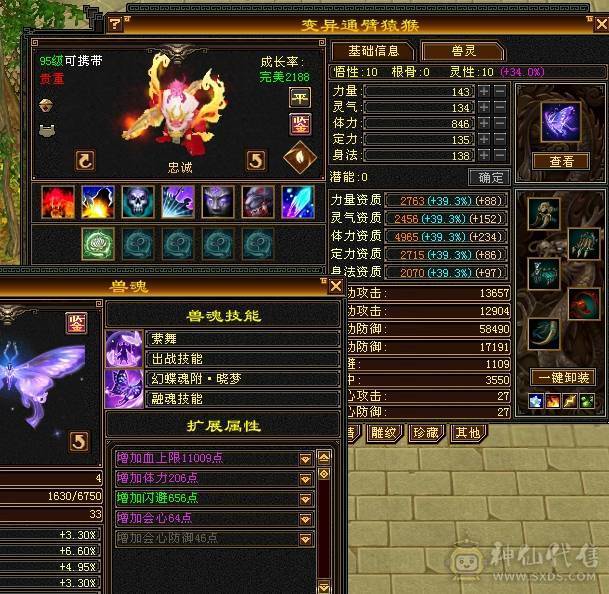 『阿伟•推荐』极品身法 高杂抗少林 无盟会状态 时装好看+幻视+魂录+背饰  新雕文、纹刻全更新、盟会双十级 所见即所得 