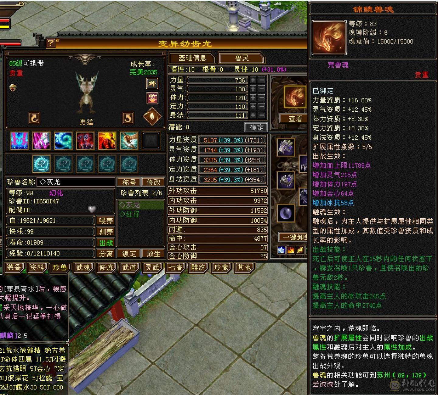 卡89冰武当 22W血 副本随便刷 带仓库和宝宝