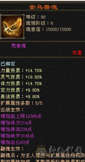 最高性价比最低价，极限6级双休逍遥