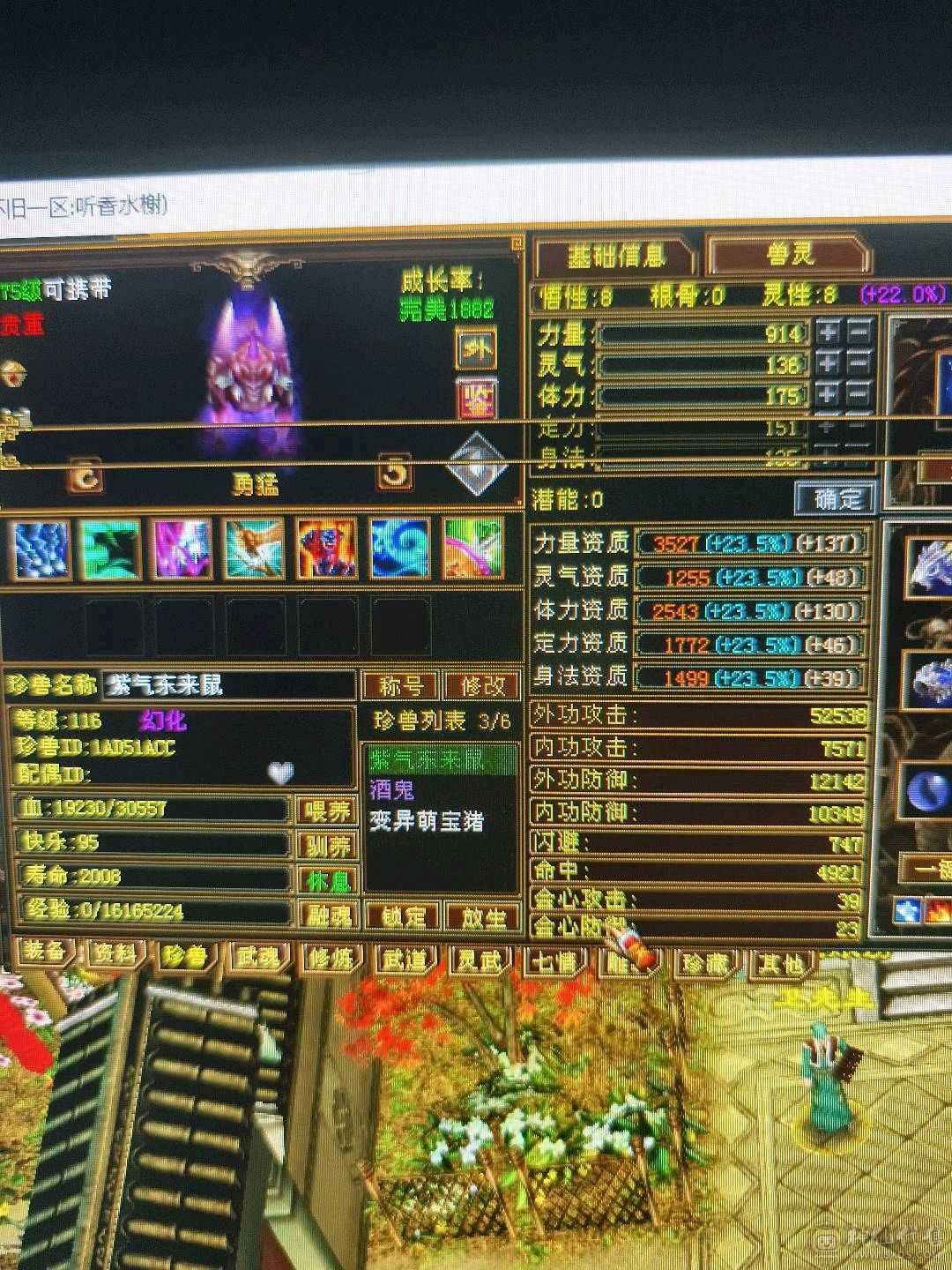 挂机随便整