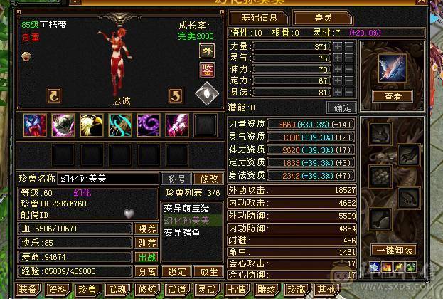 卡级号 可以过任何副本