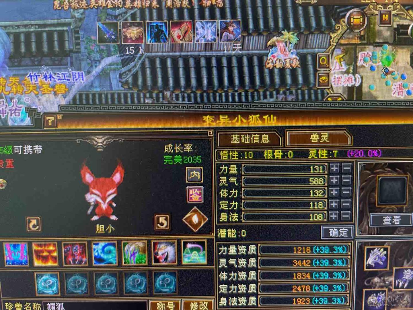 大更新