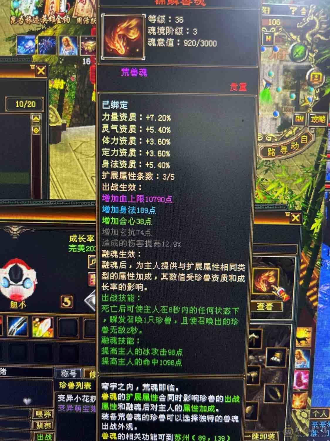 等级千属天山10矿号人品好已开扫荡卡