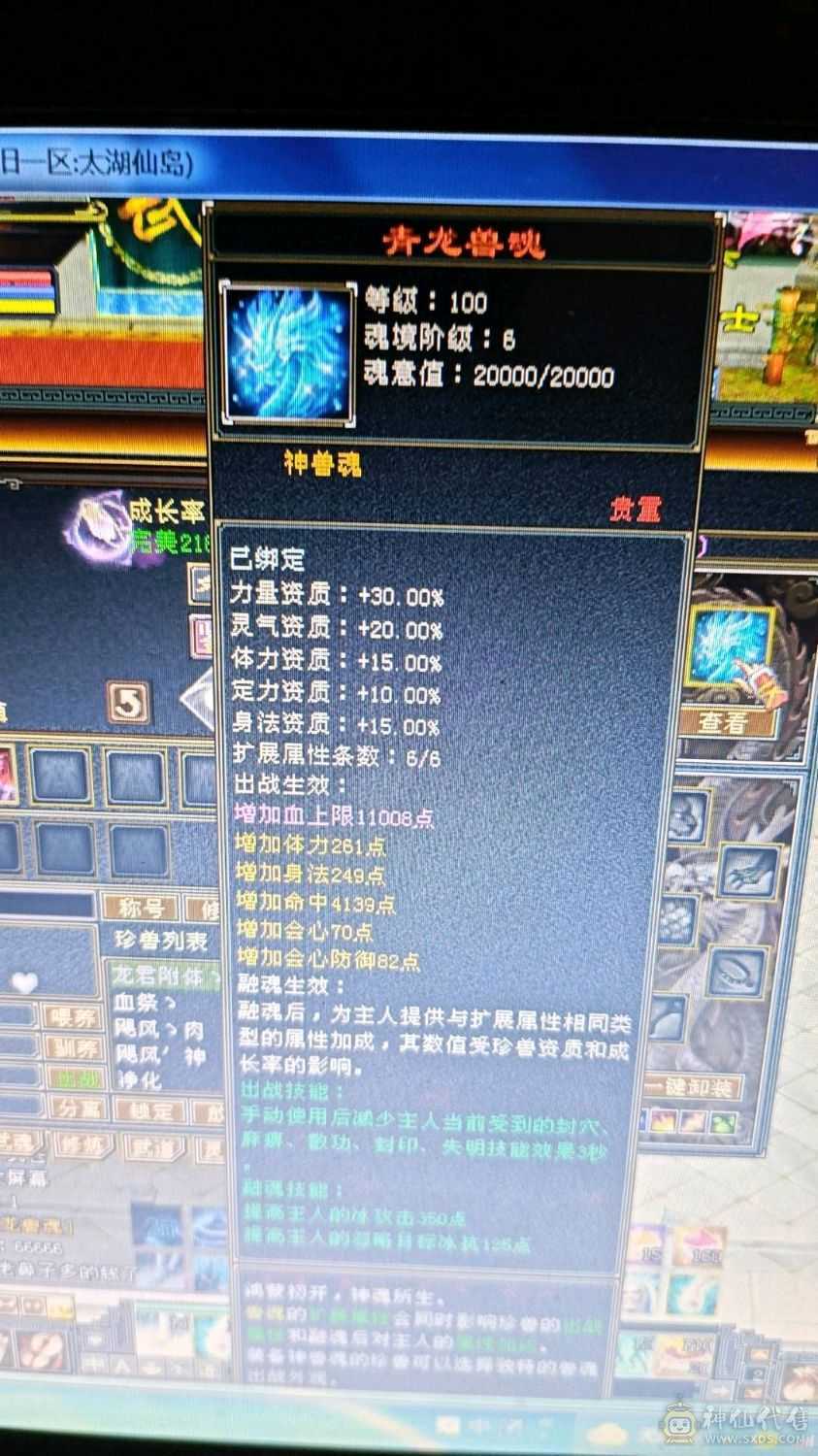 快乐推荐——红熊王各种稀有时装，3修真满6,雕纹8-9，纹刻6-7，六神青龙以出已洗好，仓库一颗6减，背包减抗灵武已备好！