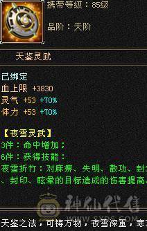 五级四修+增伤  