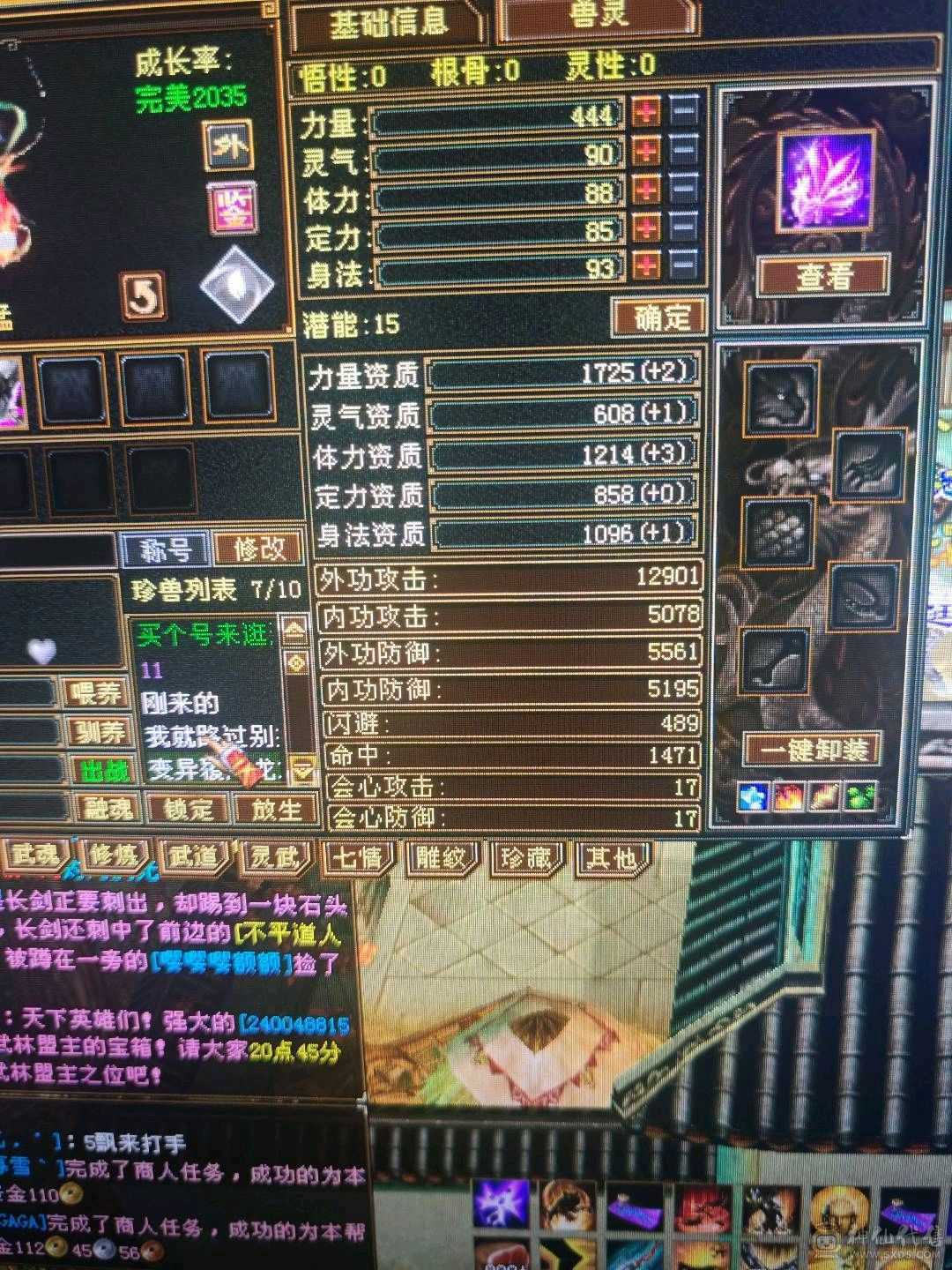 5体5属性号