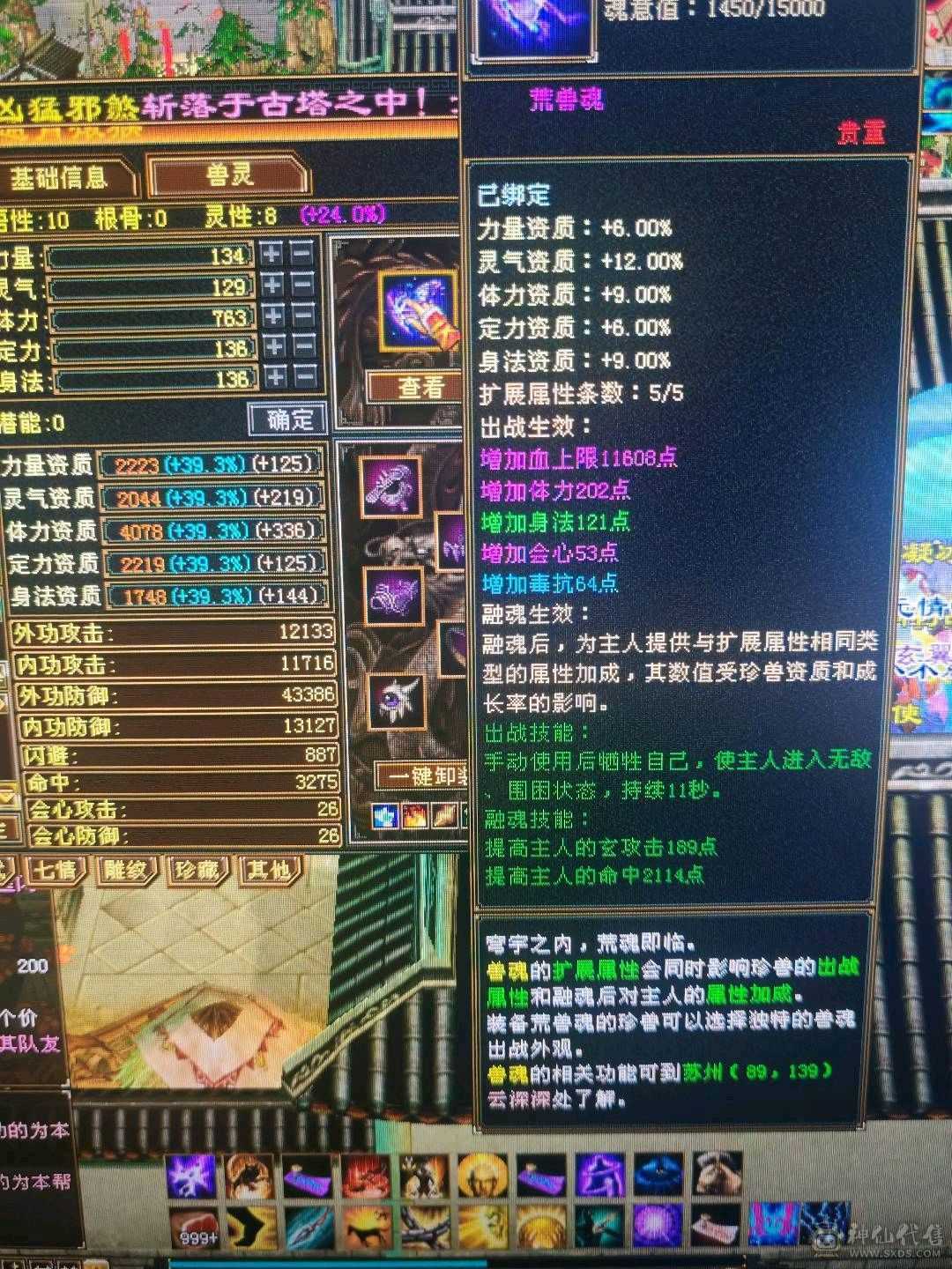5体5属性号