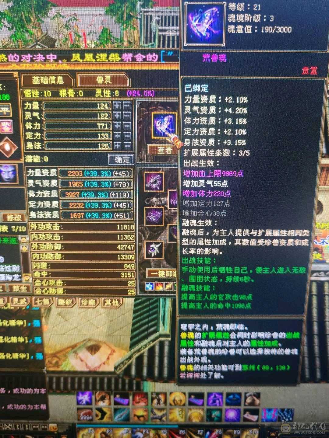 5体5属性号