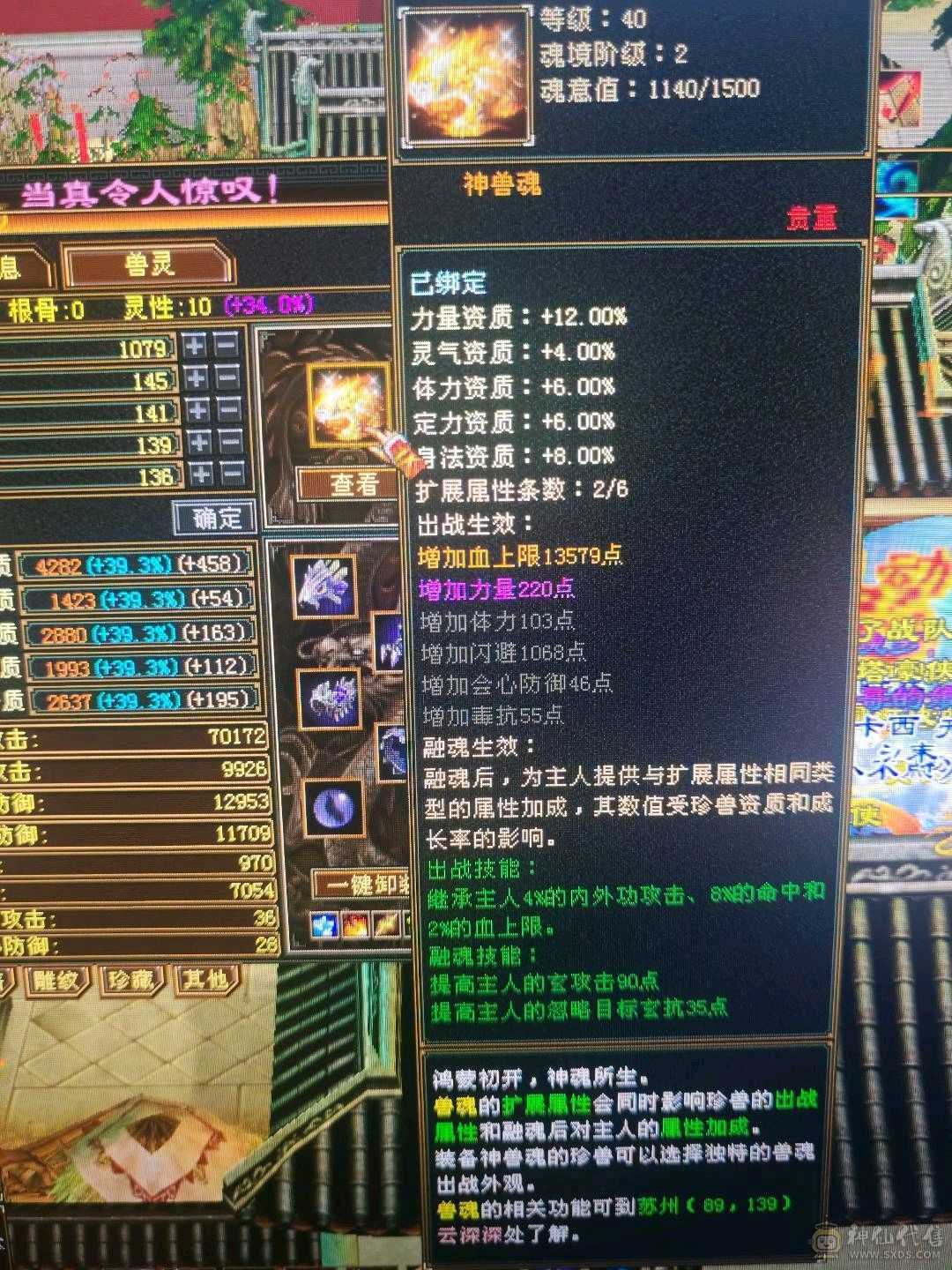 5体5属性号