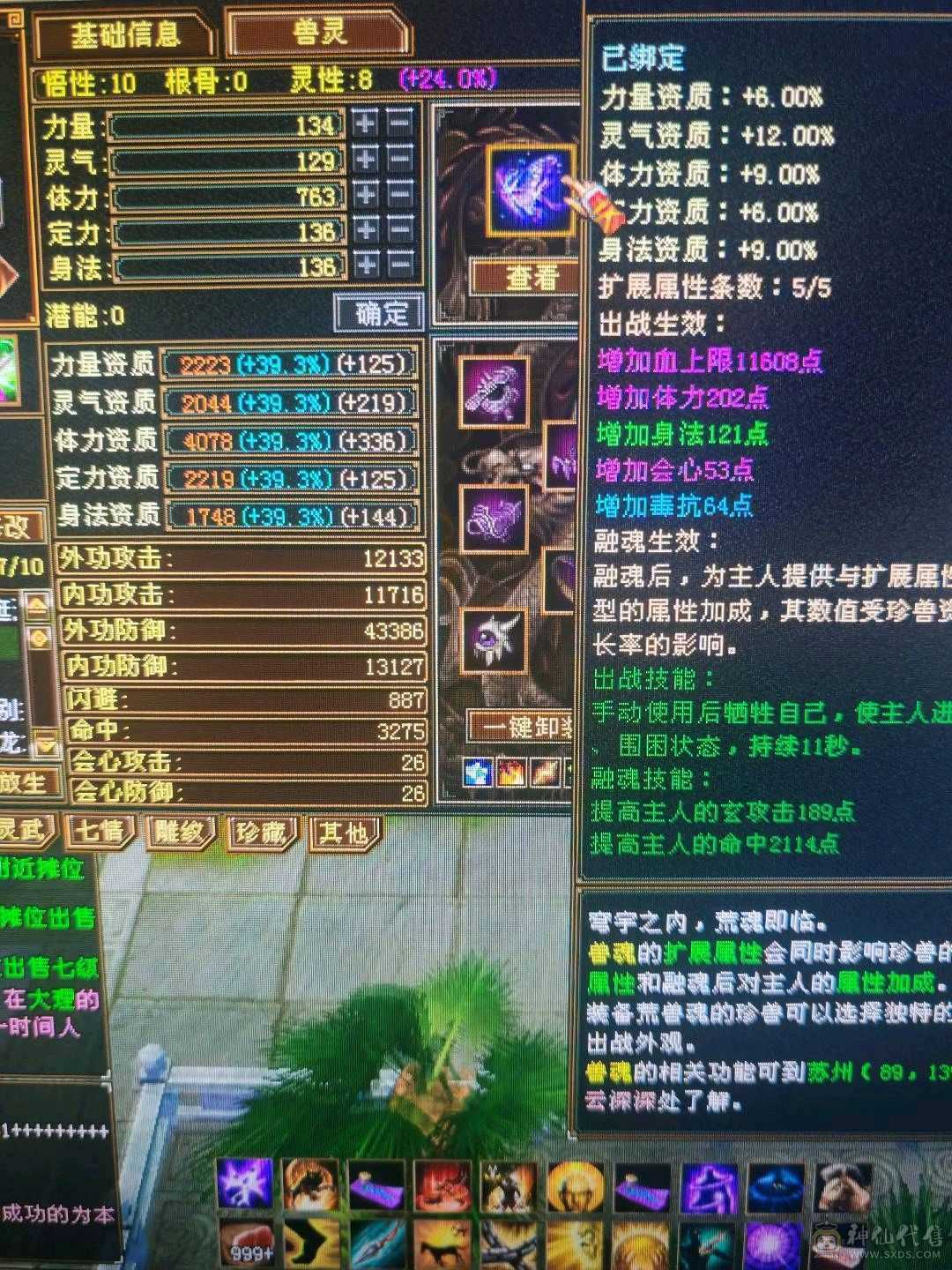 5体5属性号