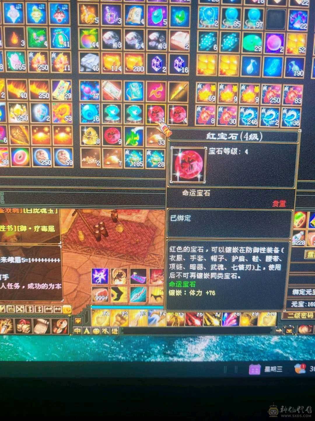 5体5属性号