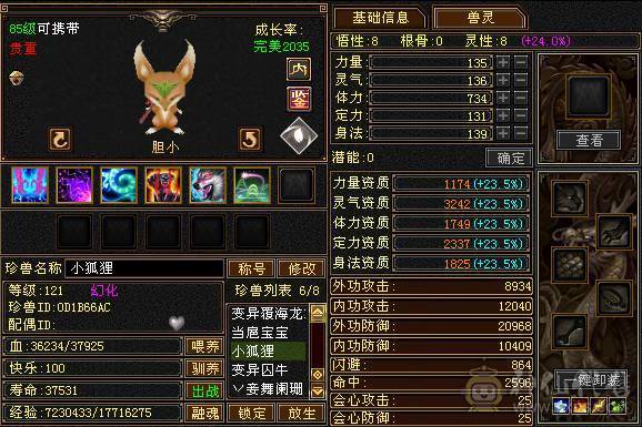 满五七雕四修，四级幻视武器，宝宝全带，永久坐骑