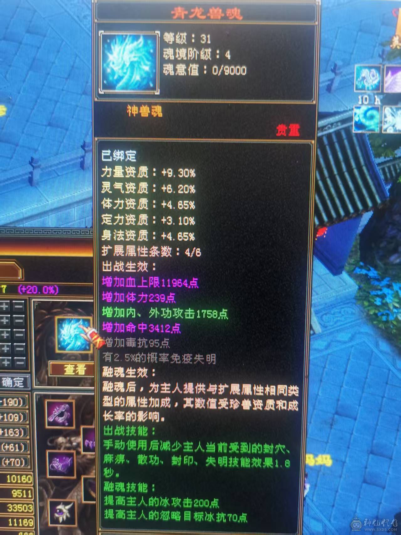 五荒四神大完美武魂
