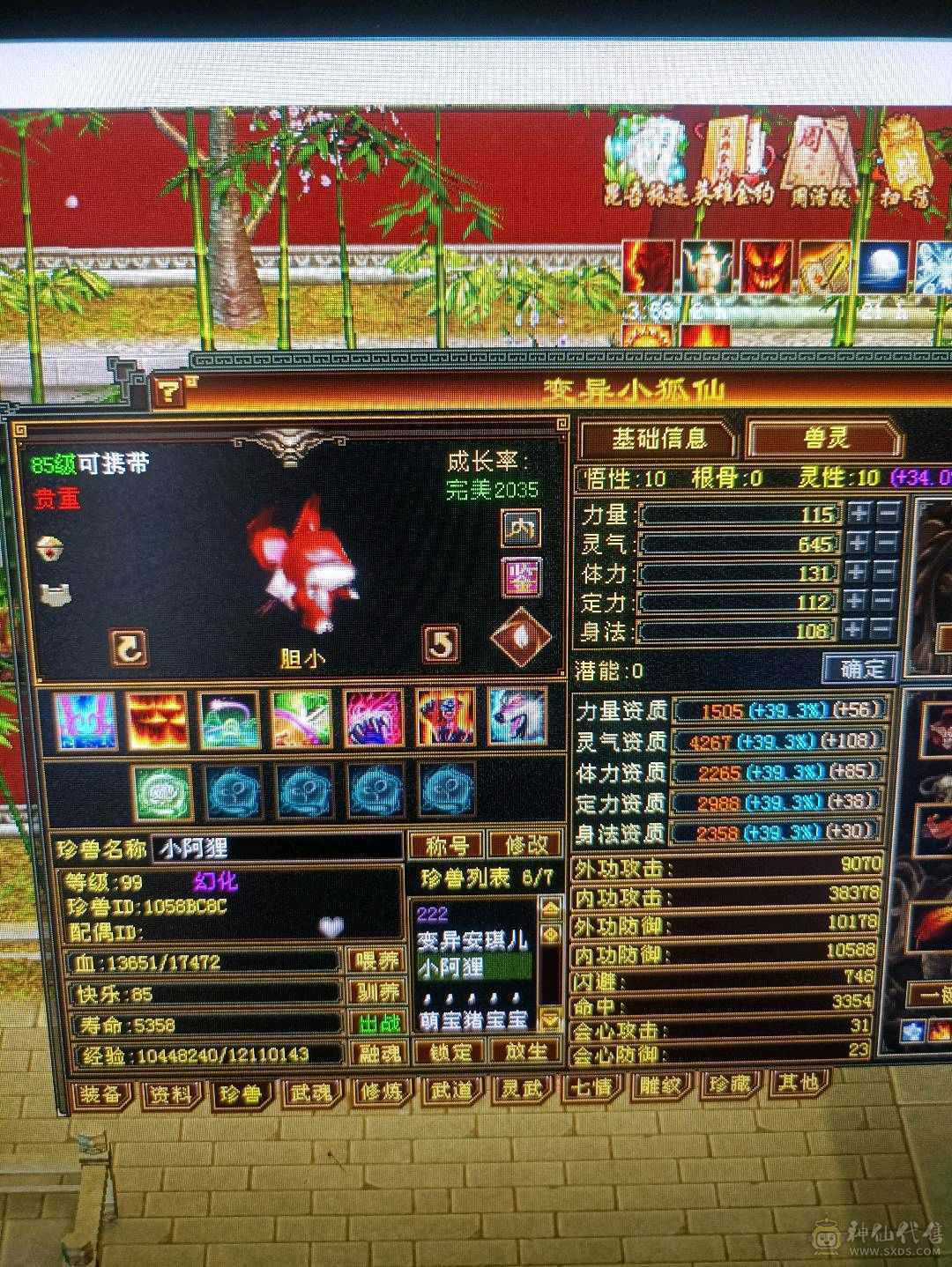 5级卡级多修暴力明教便宜甩