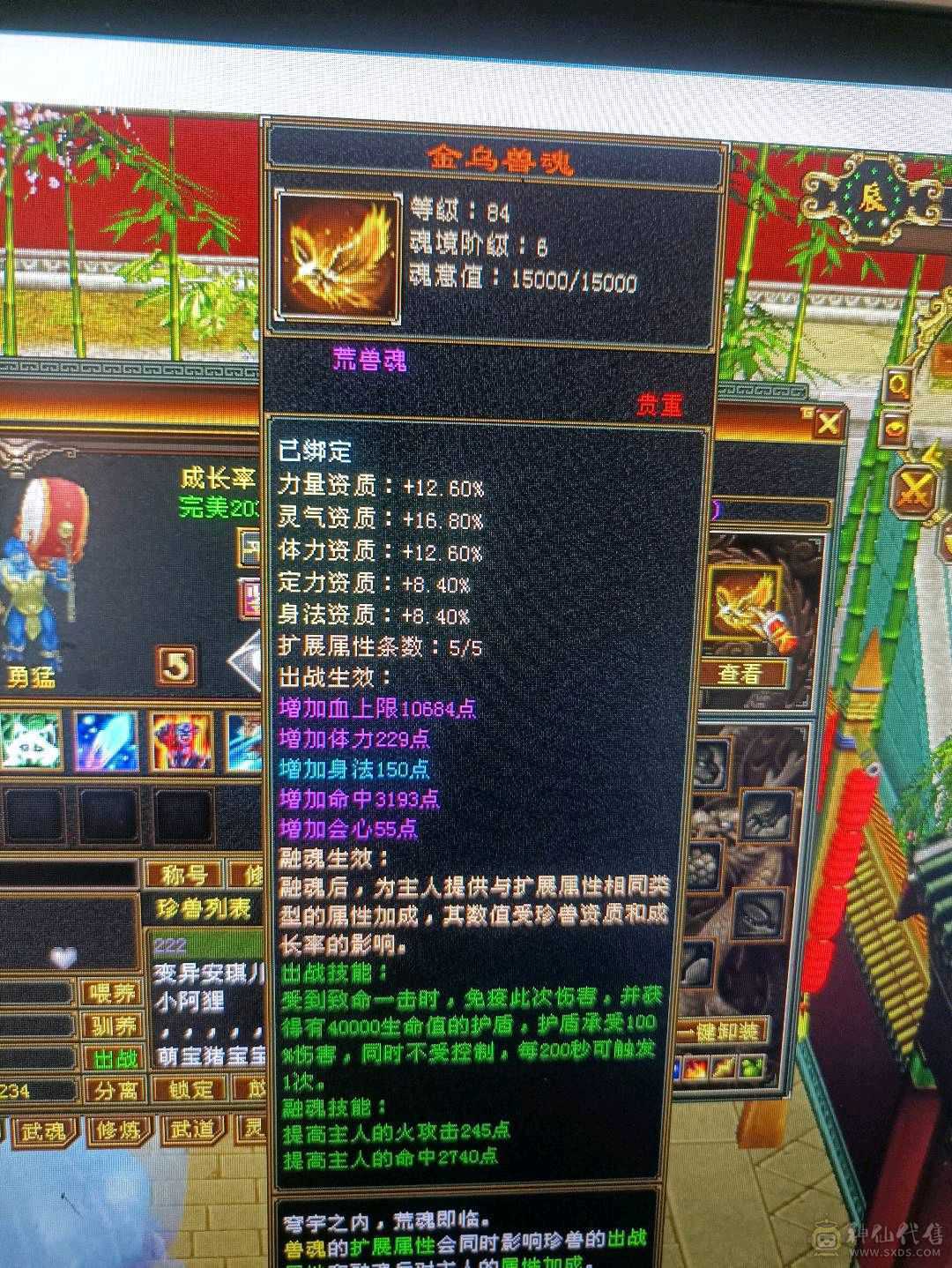 5级卡级多修暴力明教便宜甩