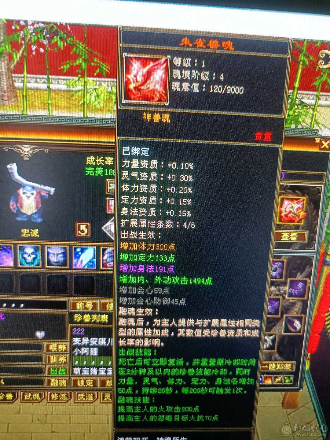 5级卡级多修暴力明教便宜甩