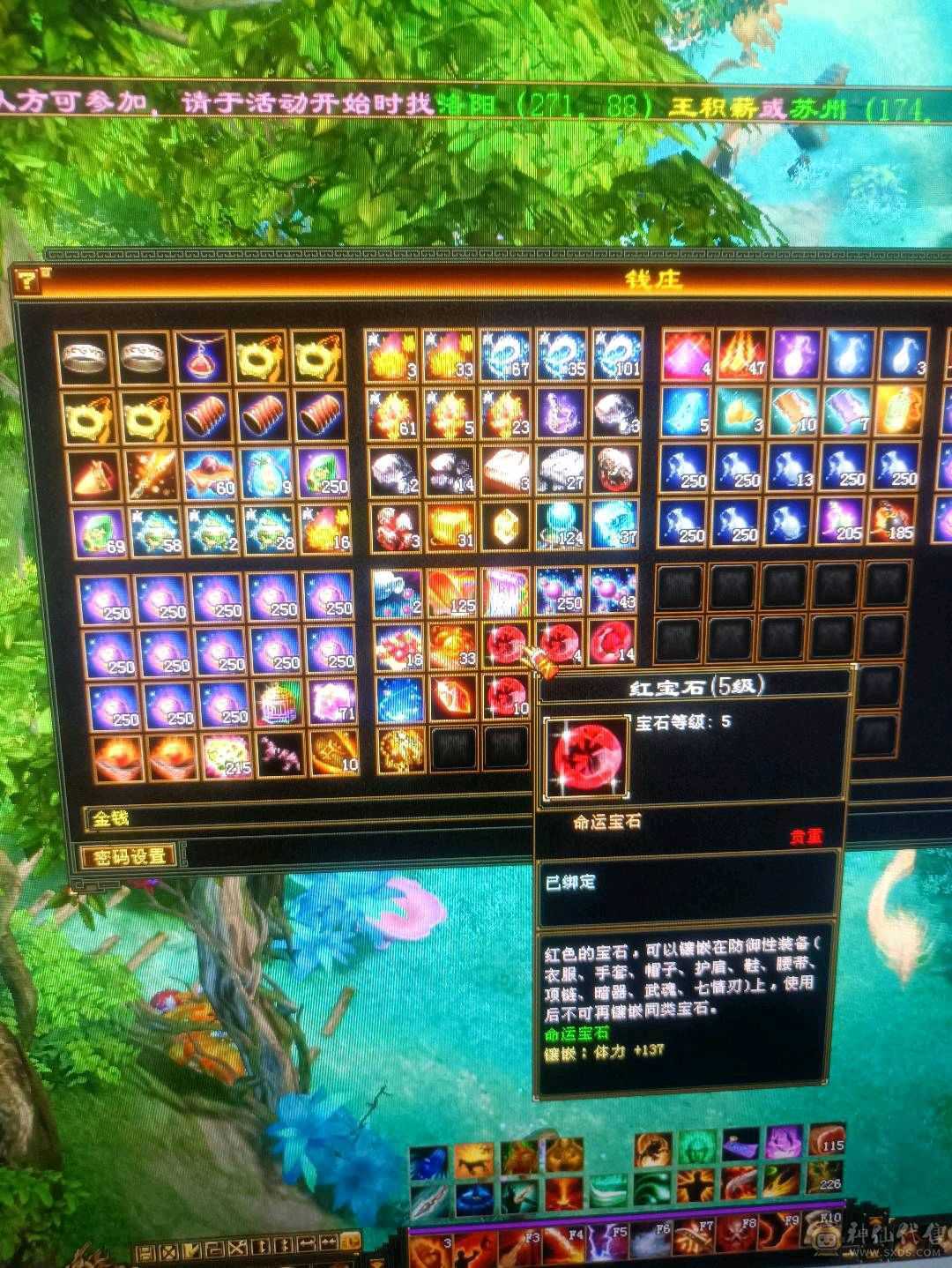 5级卡级多修暴力明教便宜甩