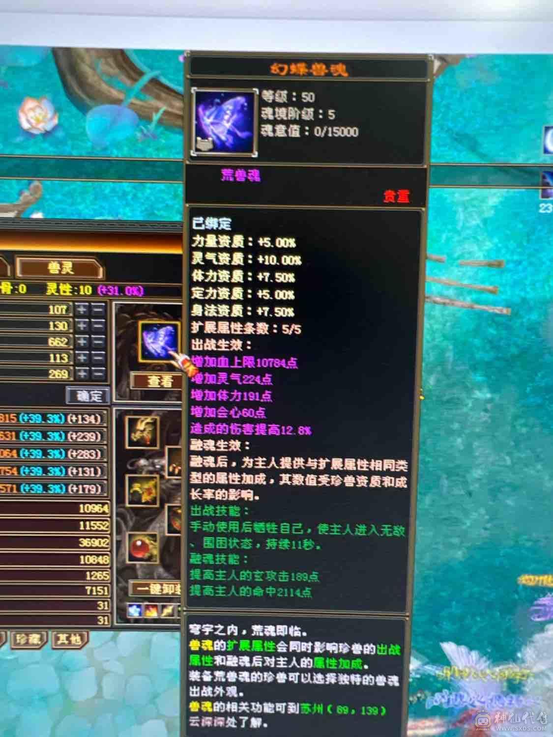 卡级极限气武当