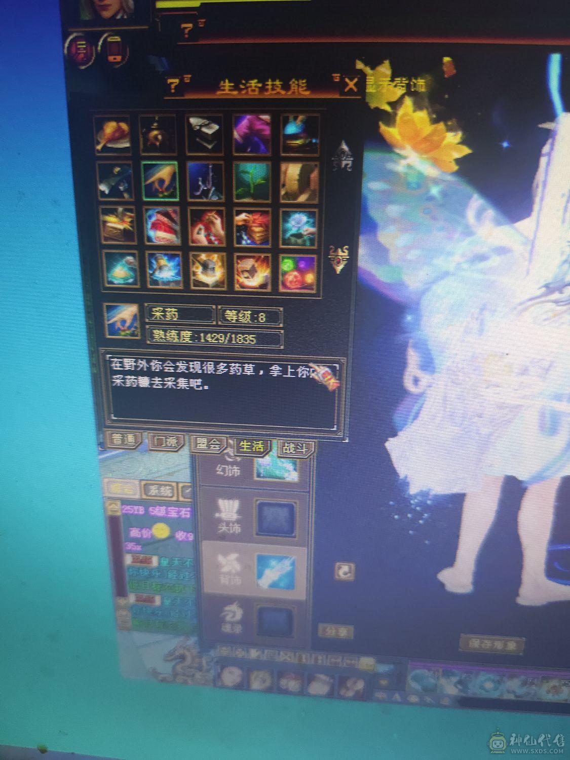 3修增伤曼陀带3只双10