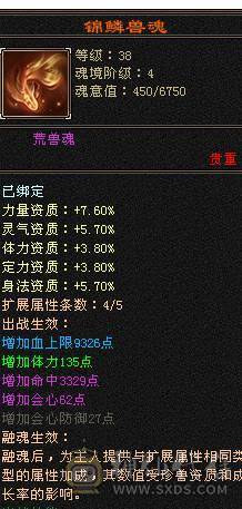 夜锋推荐五带四天山