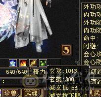 满5带6且5减抗，稀有时装武器多件，神功挖药7及，满心法修炼