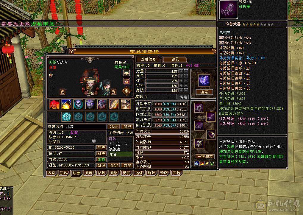 满5带6且5减抗，稀有时装武器多件，神功挖药7及，满心法修炼