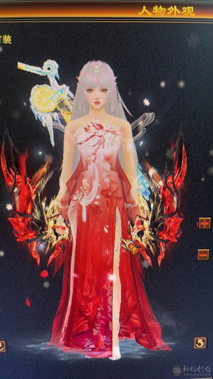 毕业天山 双修天山。带大猴子。佳期。满9