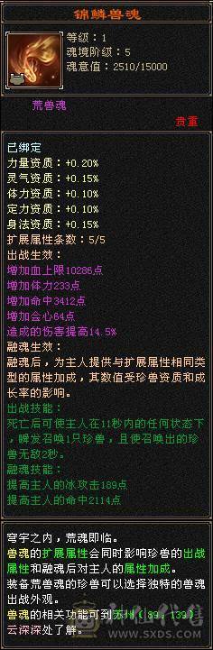 细节三修6级天山 极限会心流 8雕6等 6级穿心/决心