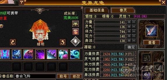 晚晚推荐：5体5属7雕四神带宝宝