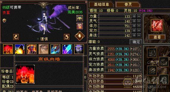 极限气武当