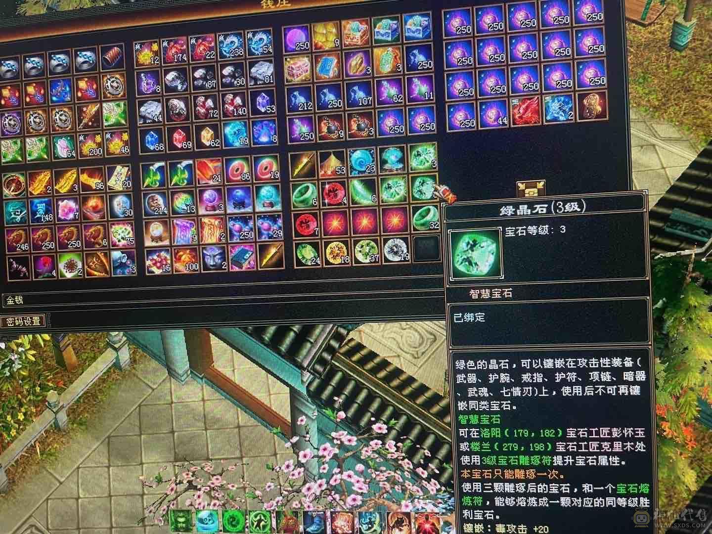 人品号