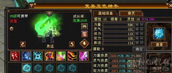 【邀月推荐】极限6神，三修，外观顶，赤兔4级金箍棒，完美大词条增伤+全套05，双盟会10级