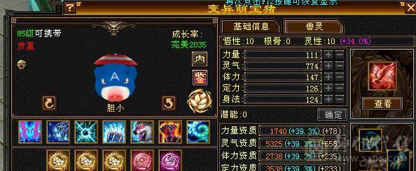 【邀月推荐】极限6神，三修，外观顶，赤兔4级金箍棒，完美大词条增伤+全套05，双盟会10级