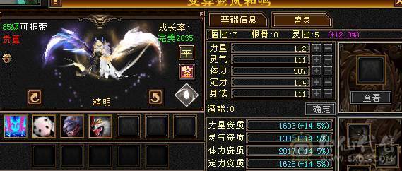 【邀月推荐】极限6神，三修，外观顶，赤兔4级金箍棒，完美大词条增伤+全套05，双盟会10级