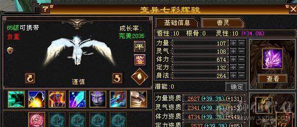 【邀月推荐】极限6神，三修，外观顶，赤兔4级金箍棒，完美大词条增伤+全套05，双盟会10级